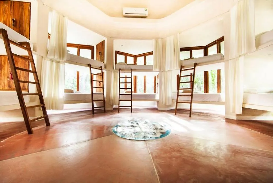 The Beehive Experience At Holistika Tulum Hotel