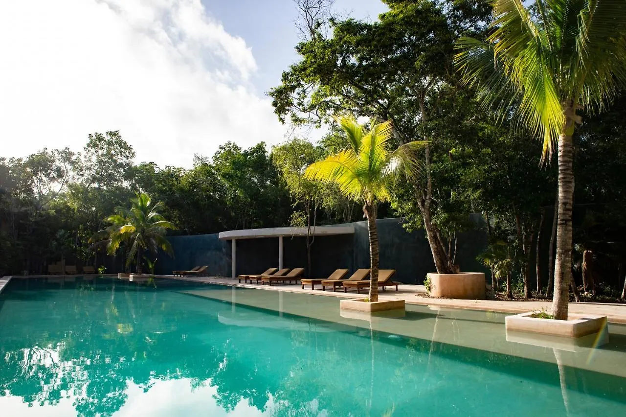Hostel The Beehive Experience At Holistika Tulum Hotel Mexiko